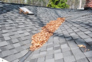 fall roofing tips